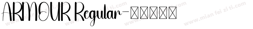 ARMOUR Regular字体转换